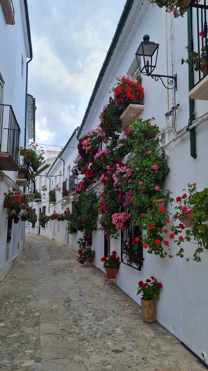 turismodepriego's tweet photo. 🔴 #PriegodeCórdoba ha obtenido dos cuartos premios 🙌 en el concurso de patios, rincones y fachadas de la #SubbéticaCordobesa 

➡️ Por un lado el patio olivo de #Albasur y por otro la fachada de Francisca Comino del barrio de la Villa.

¡Enhorabuena a ambos! #PriegoTuMejorPlan https://t.co/mMukgXMNlB