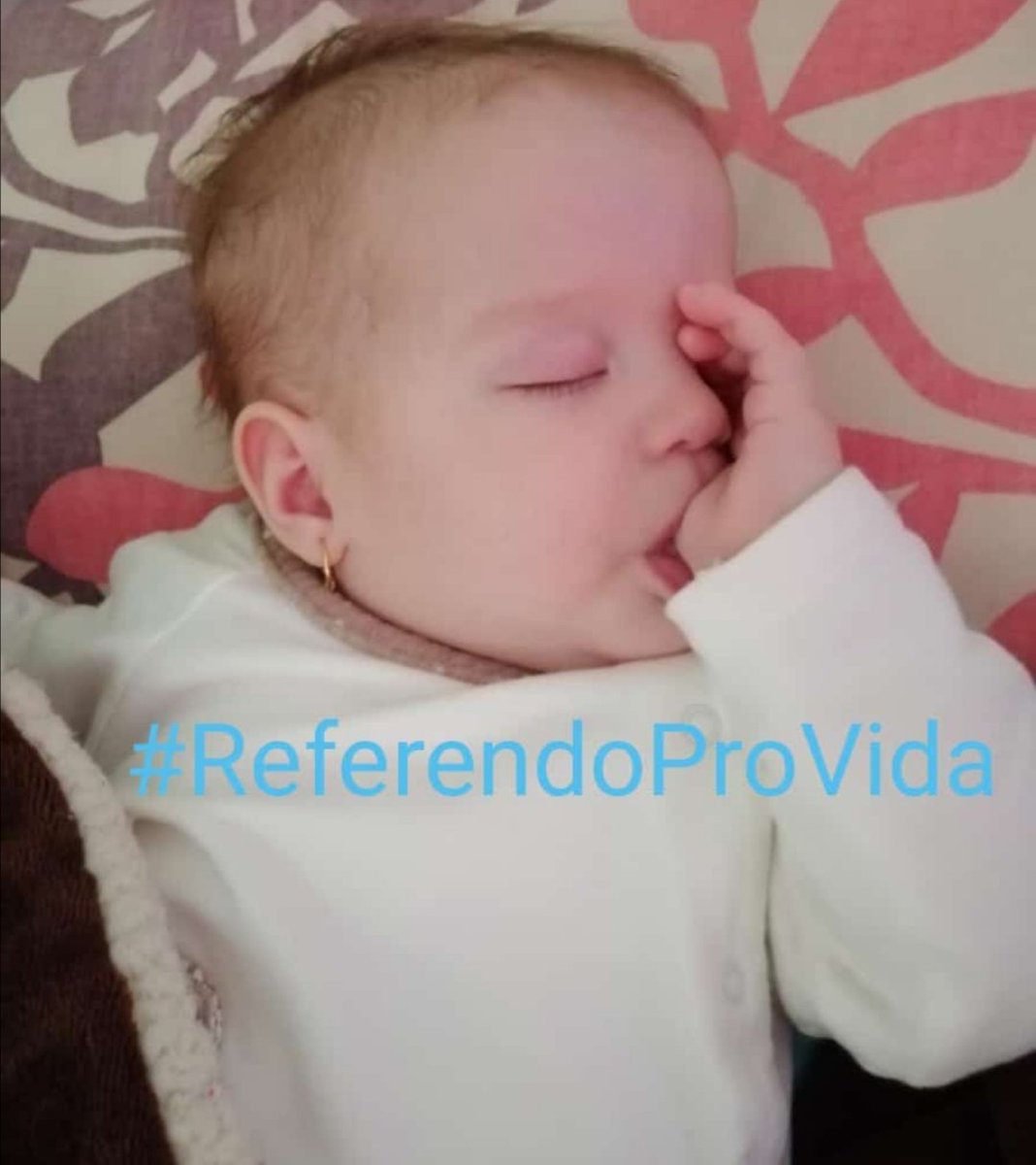 limarbele's tweet photo. #ReferendoProvida 🙏🏼 💙 🤰🏻 🙏🏼 https://t.co/9Ni14GNCar