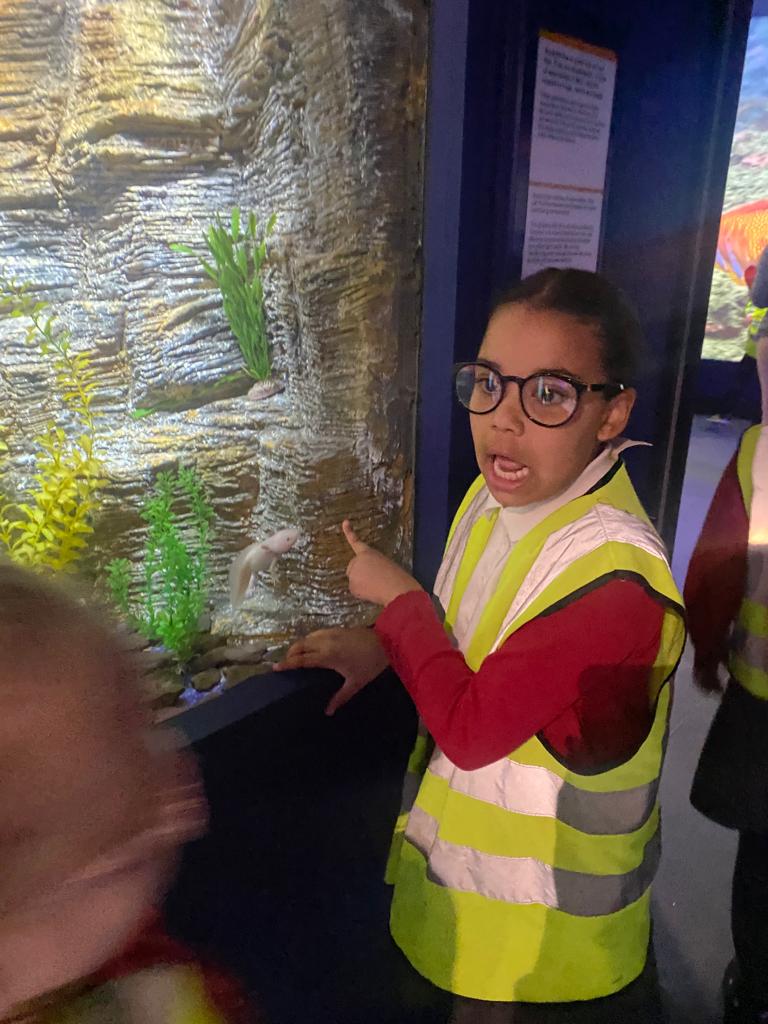 dosbarth3PG's tweet photo. We loved the 'Rockpool Encounters' workshop today!! It was so much fun 🎉🦀🐚🌊 @YsgolEmmanuel https://t.co/bs2xOVm00P