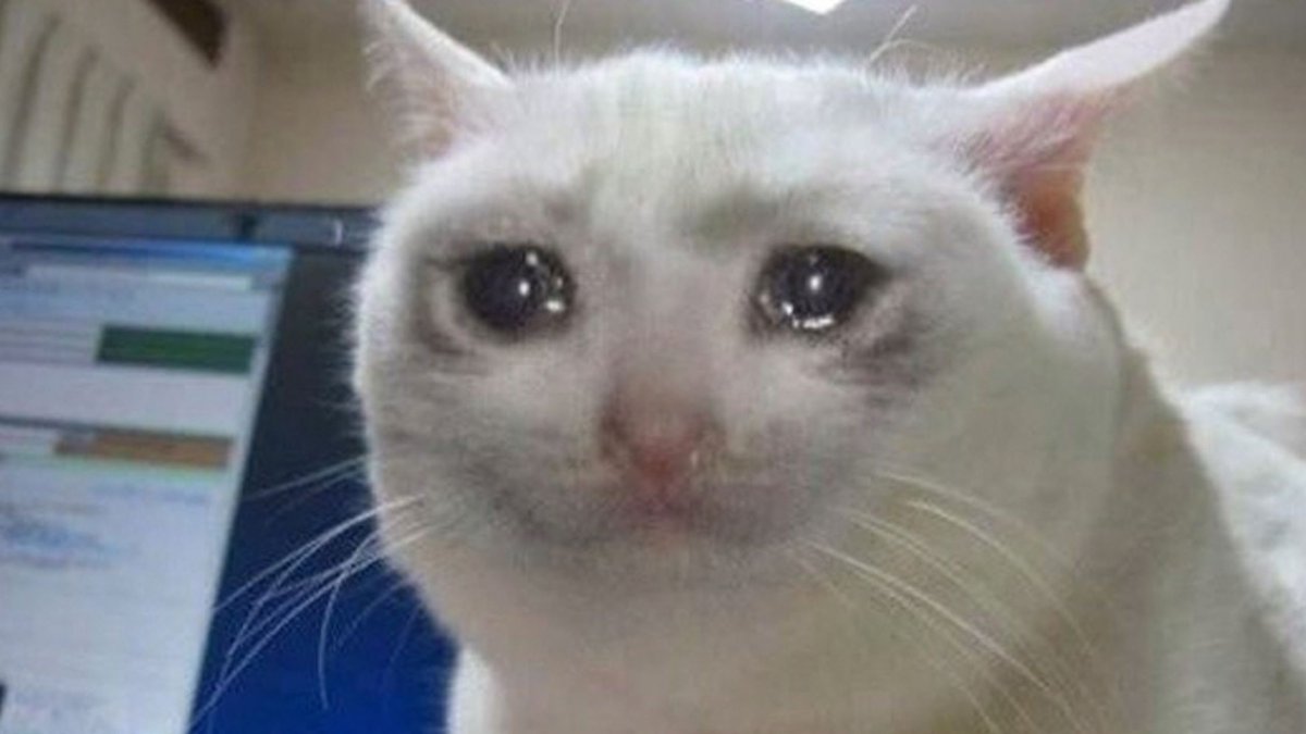 FestView's tweet photo. Les fans de BTS quand ils ont vu que le cd3 ne sera pas sur Spotify.. #cdonly https://t.co/C7tormBAWF