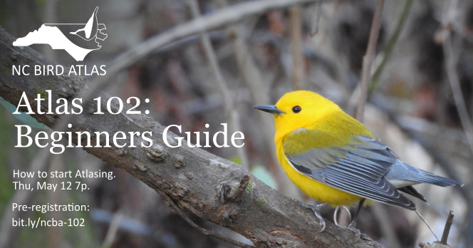 ncbirdatlas's tweet photo. Registration is still open for this Thursday night's Atlas 102 presentation. All are welcome, and come with your questions!
https://t.co/Qj4WuNfPlV

#everyoneisabirder
#peoplecountbirdscount
@AudubonNC 
@NCWildlife https://t.co/y9YL5vluQQ