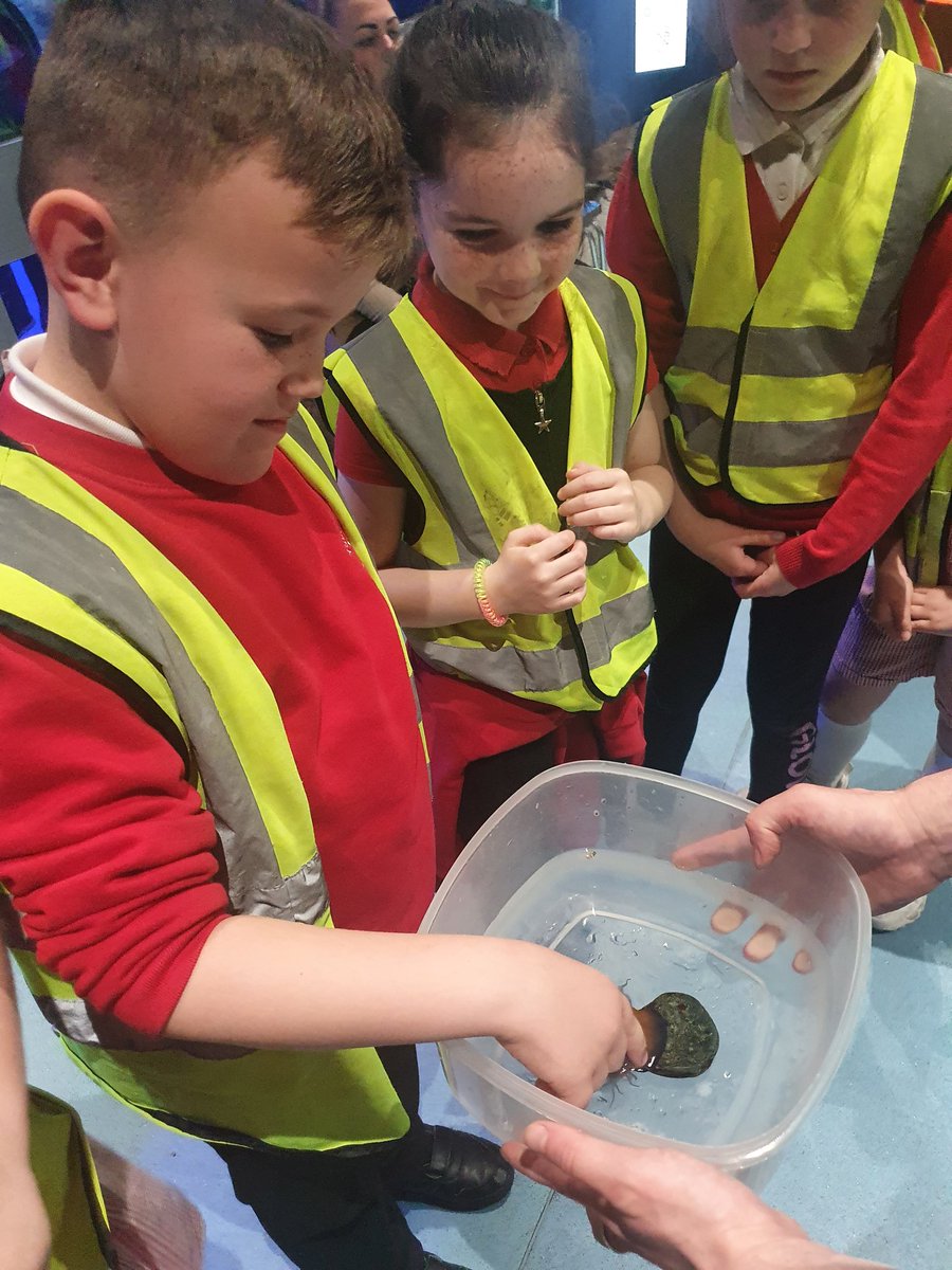 dosbarth3PG's tweet photo. The children had the opportunity to touch/feel a live anemone today!! It felt squishy and gooey...🥴😵‍💫 @YsgolEmmanuel https://t.co/VKo7neLFWT