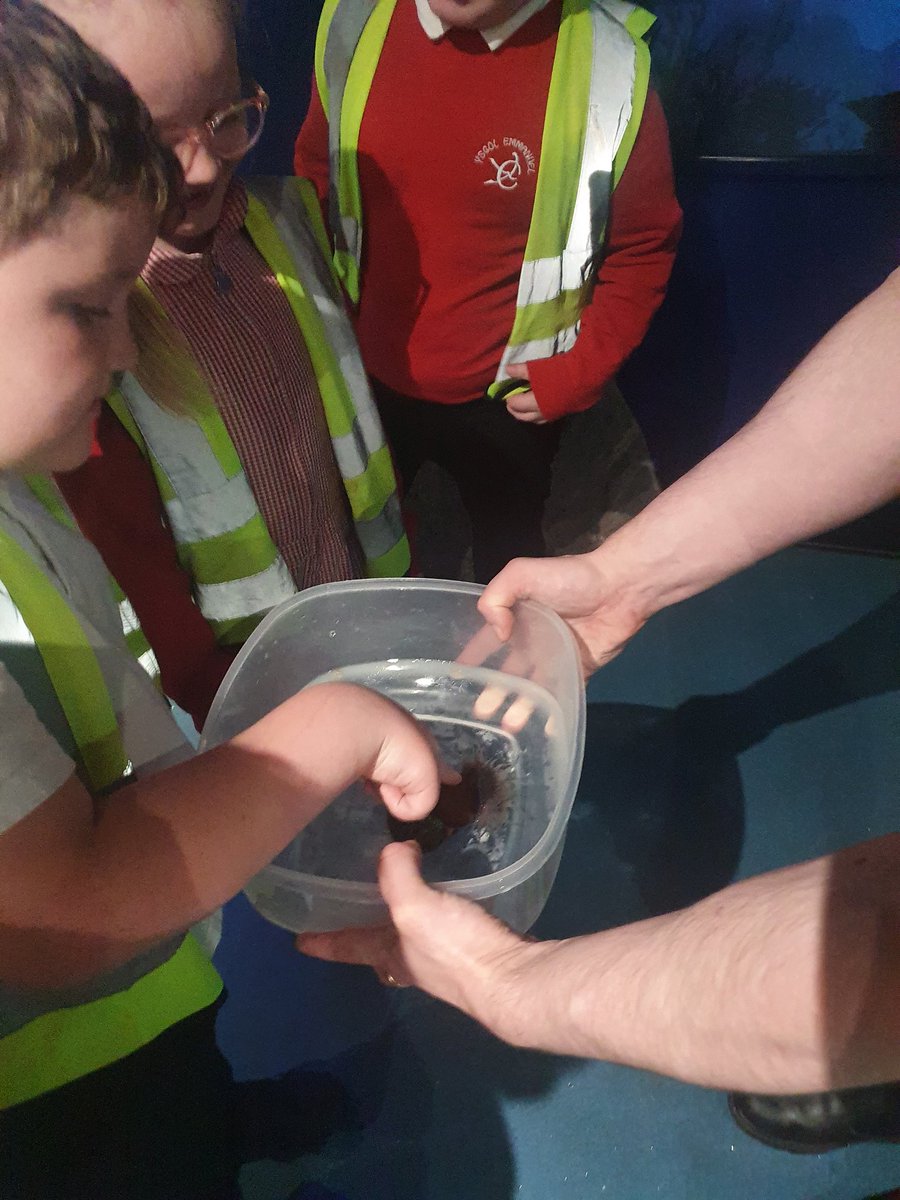 dosbarth3PG's tweet photo. The children had the opportunity to touch/feel a live anemone today!! It felt squishy and gooey...🥴😵‍💫 @YsgolEmmanuel https://t.co/VKo7neLFWT