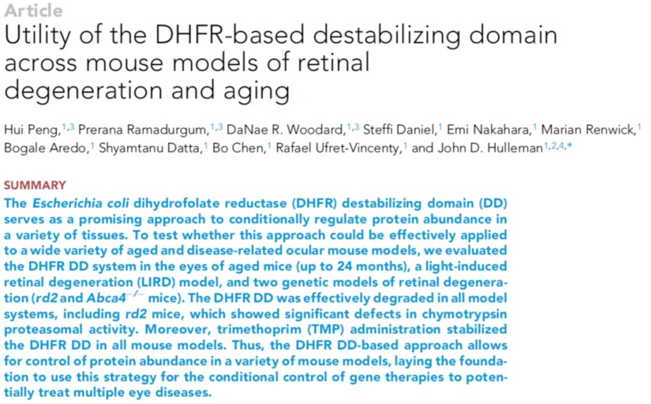 Ocular destabilizing domains work well to conditionally regulate protein abundance in models of #retinaldegeneration and #aging. Shout out to the all the lab peeps and Ufret-Vincenty Lab for making this happen. @UTSWOphth @iScience_CP @UTSWNews 

cell.com/iscience/fullt…