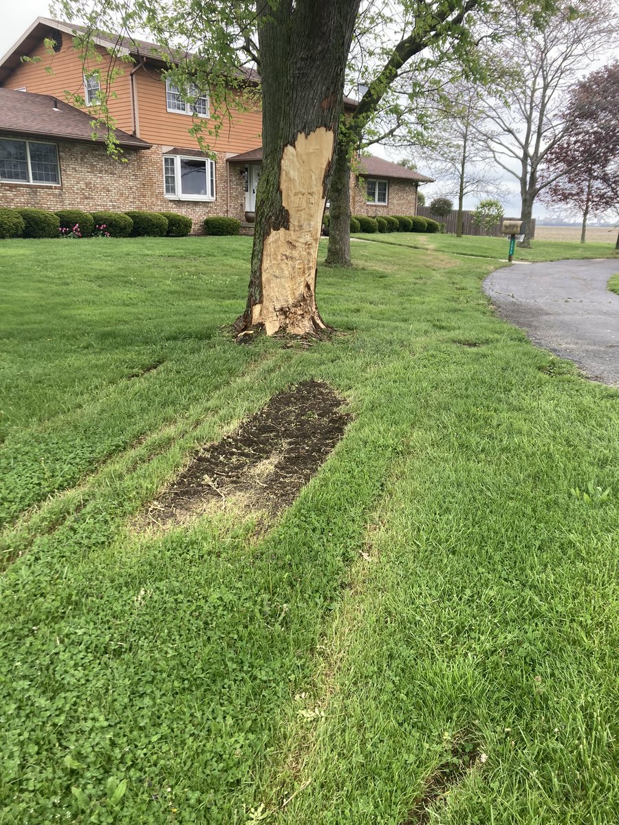 ErikMarting's tweet image. Anyone on #agtwitter have advise on how I can save this tree. Hit by truck in a wreck and ripped off a lot of bark. Just wondering if I should coat it with something or even who to call.