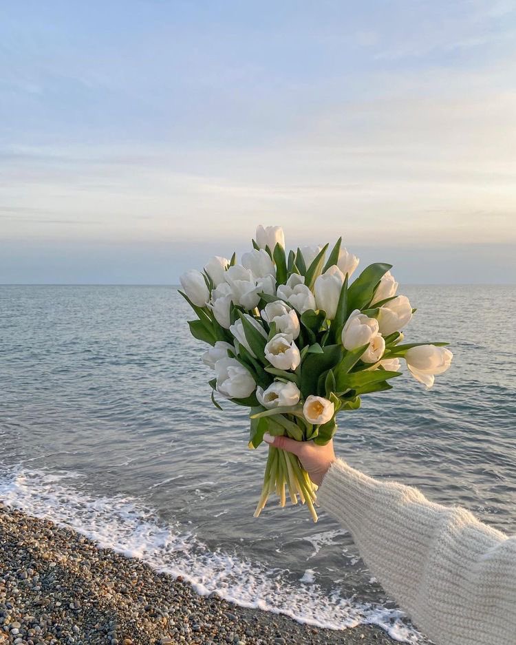 liviuuh's tweet image. tulip bouquet.