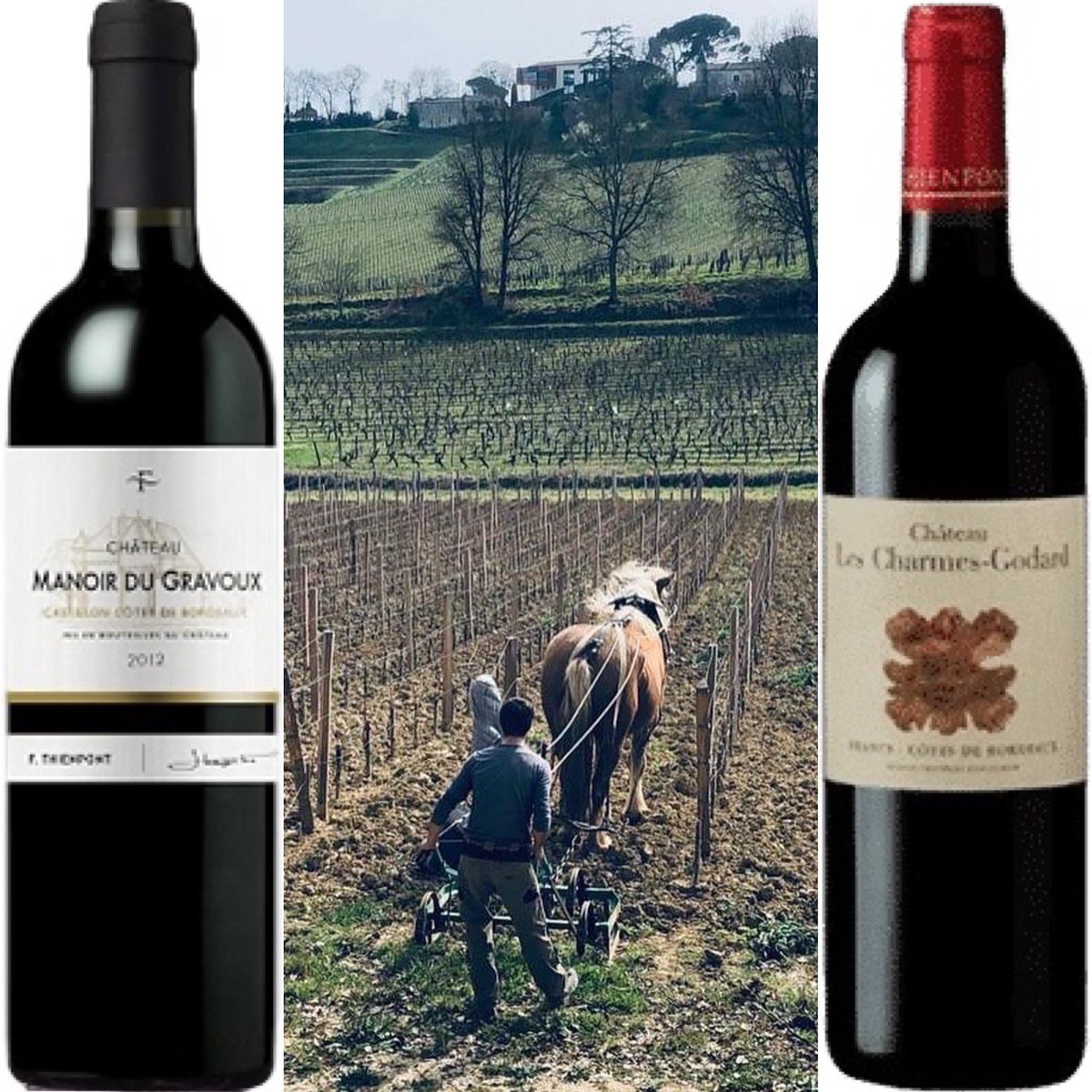 Making #wine is no horseplay 🍇🐴 

advinture.co.uk/product/franco…

advinture.co.uk/product/franco…

📸 <a href="/ThienpontWine/">Thienpont Wine</a> 

#bordeaux #frenchwine #redwine #claret #merlot #cabernetfranc #vineyard #winelover #winesday #sommelier #wineshop #wineonline #winemerchant #advinturewines #advinture