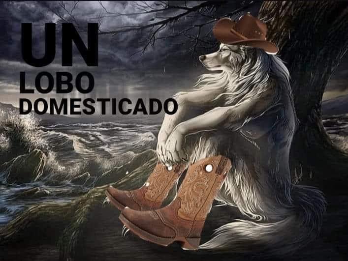 ElJeringasLoko's tweet photo. Yo: ni soy mandilón

También yo el primer día que comienzo a andar con alguien: https://t.co/iIkiwCvXVG