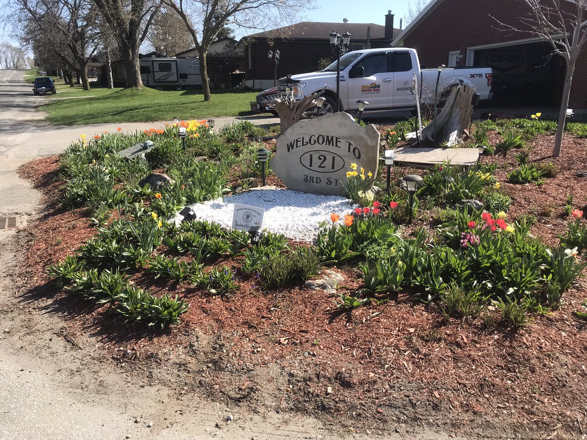 A surprise in my garden after a long spring day at the fertilizer plant. #hanoverhorticulturalsociety #itsnicetoberecognized