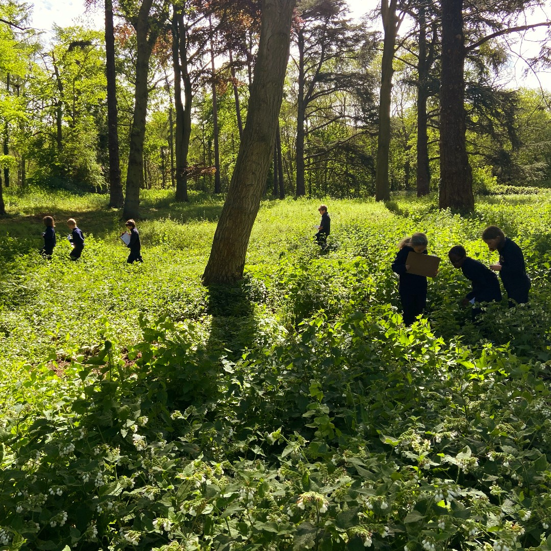 WithamPrep's tweet photo. Year 3οΈβ£ had a wonderful time learning about trees with Jemma from the @royal_forestry at @burghleyhouse π³There was also an opportunity to explore the magificent sculpture gardens ποΈ
#WithamHall | # WHSPrePrep | #teachingtrees https://t.co/SMBlFMeAme