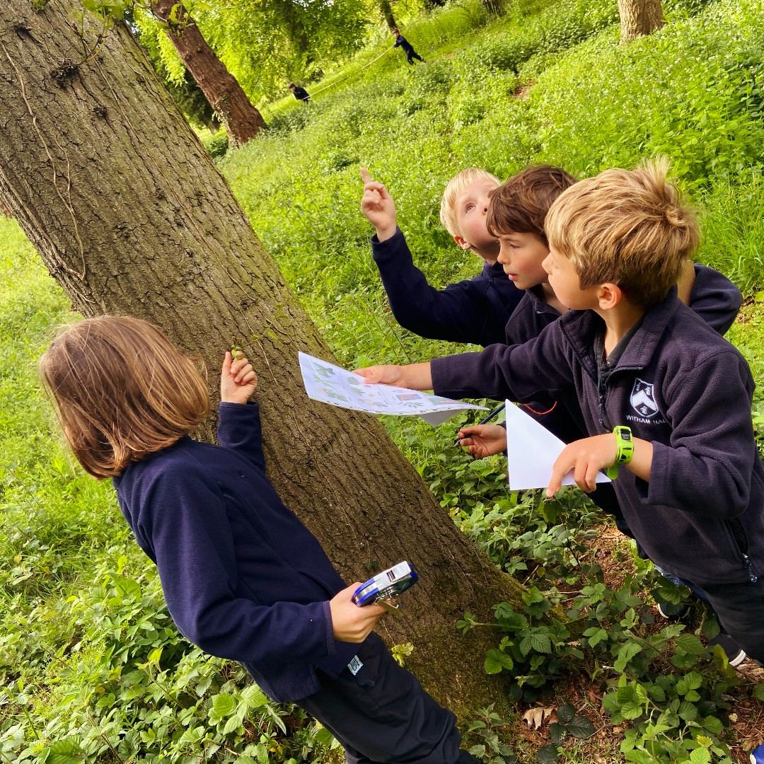 WithamPrep's tweet photo. Year 3οΈβ£ had a wonderful time learning about trees with Jemma from the @royal_forestry at @burghleyhouse π³There was also an opportunity to explore the magificent sculpture gardens ποΈ
#WithamHall | # WHSPrePrep | #teachingtrees https://t.co/SMBlFMeAme