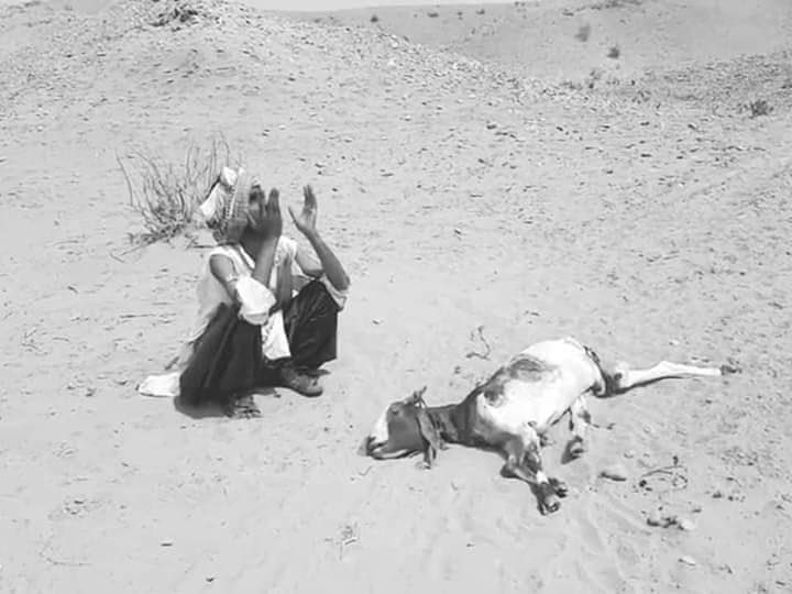 ali_bugti7's tweet photo. @NazirLeghari @ZahoorBuledi #PirKohKoPaniDo https://t.co/XsYhozVjlt