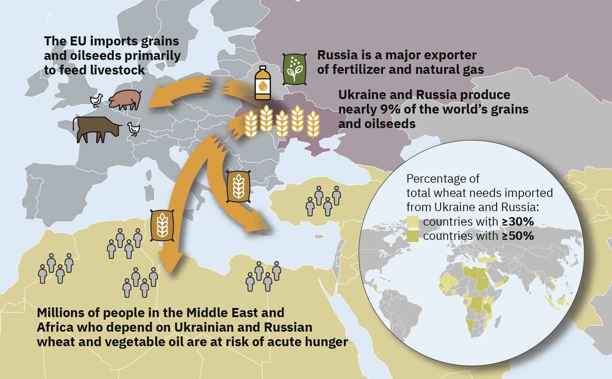 OneEarth_CP's tweet photo. Russia’s invasion of Ukraine has created a humanitarian catastrophe, disrupted the world’s agricultural markets, &amp; highlighted the urgent need for food system transformation https://t.co/cXDklhcYm7 @ChariteBerlin @PIK_Climate @oxmartinschool @WorldVegCenter @EATforum @HumboldtUni https://t.co/Zv9pBuNAEN