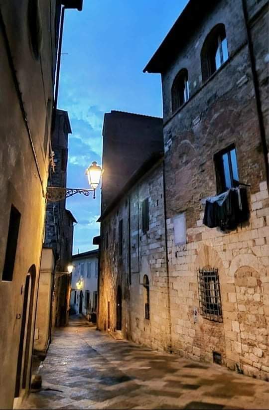 DEL!A💙🐬🌬️☁️ tweet media