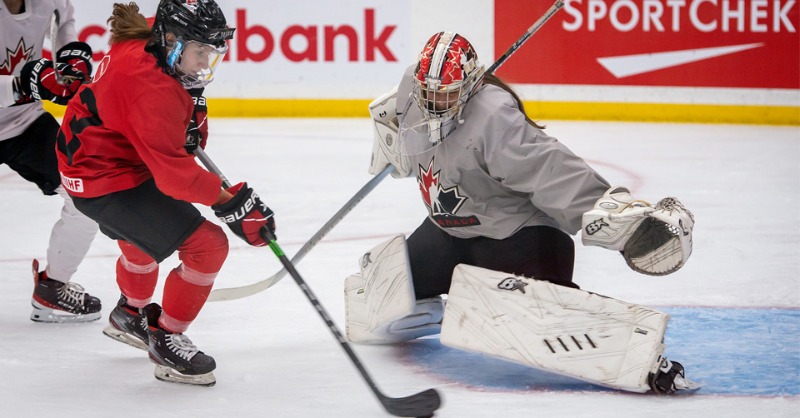 HockeyCanada's tweet photo. First stop on the road to #U18WomensWorlds!

4⃣0⃣ of the country's best have earned invites to 🇨🇦's National Women's Under-18 Team selection camp, beginning May 24 in Calgary.

ROSTER ➡️ http:// https://t.co/LgRmxC1N5e