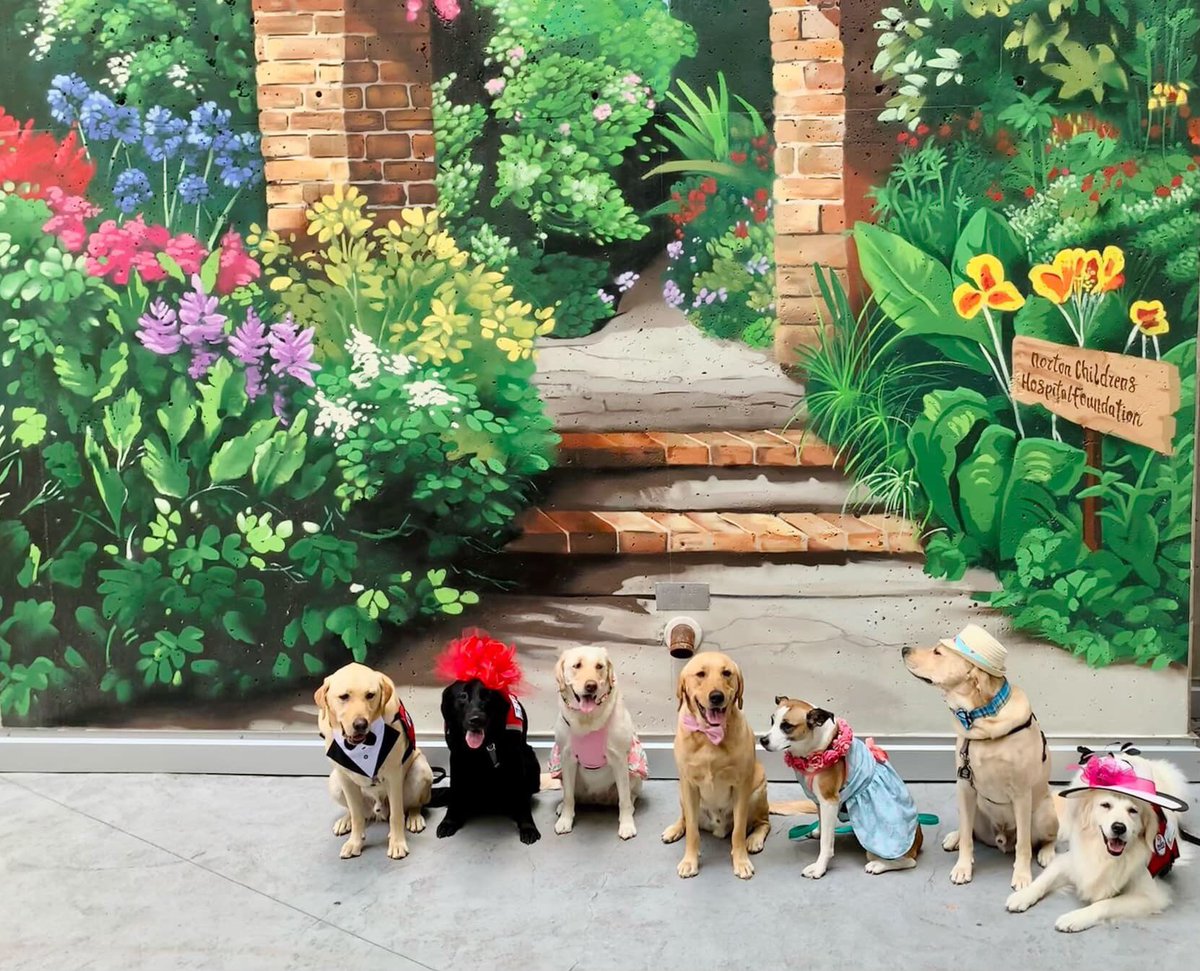 OldhamHumane's tweet image. That’s our little Holly third from right. She was trained in our Camp K-9 program at the Kentucky State Reformatory &amp;amp; now does wonderful things at Norton Children’s. Heel Dog Heal facility dog program provides highly trained dogs and handlers to for comfort &amp;amp; support to patients