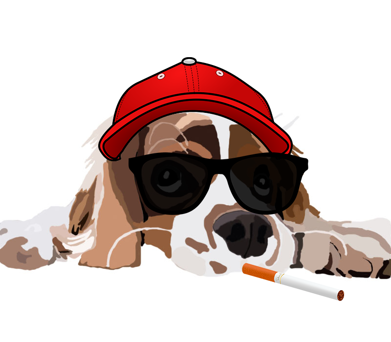 worldofnftt's tweet photo. Cool dog hope you like it and only 0.7 etheryum. https://t.co/fYrtLNiopu