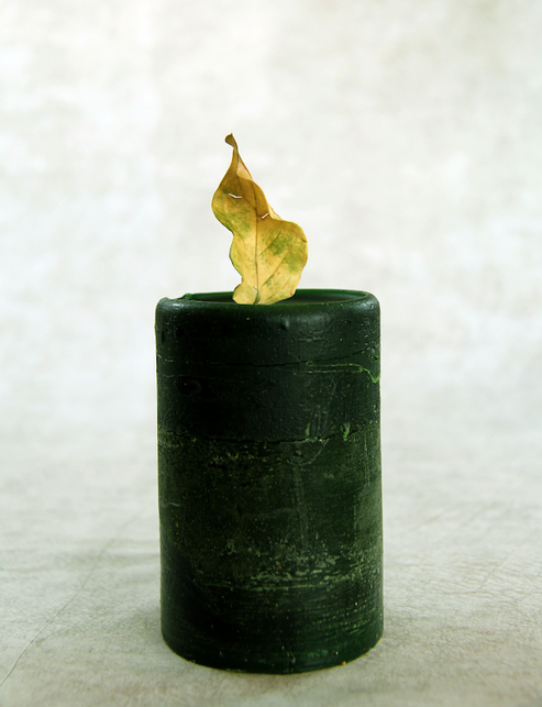 ArtofAlpin's tweet photo. My new NFT. Candle &amp; Leaf via @opensea #NFTCommunity #NFTartist #photography #Canon #StillLife #Macro #NaturePhotography @foundation #nftart #nft

https://t.co/4itvTIj9SV https://t.co/Qsd8y6hz38