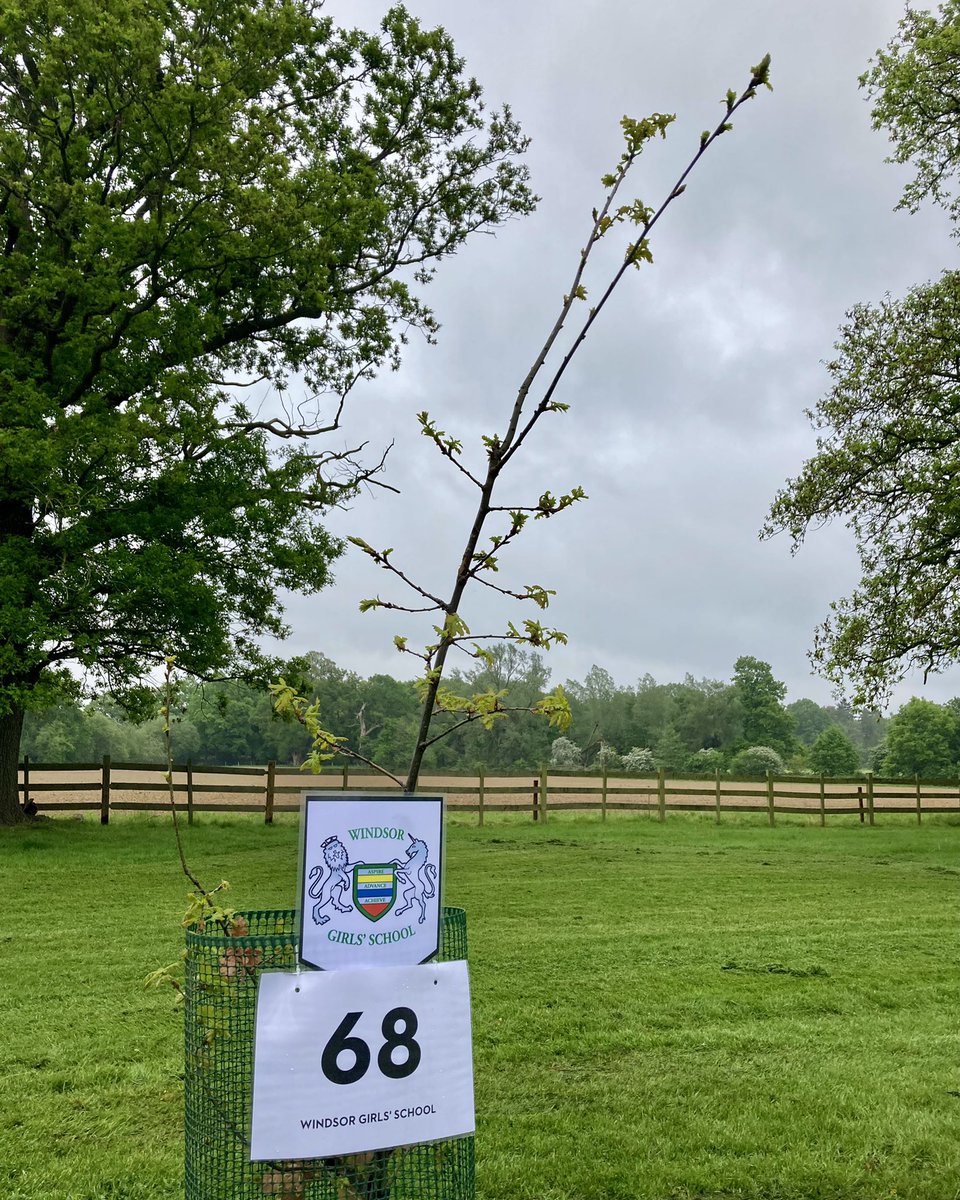 WGS Eco Committee tweet media