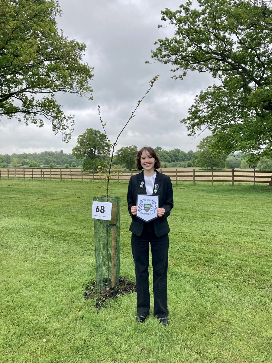 WGS Eco Committee tweet media