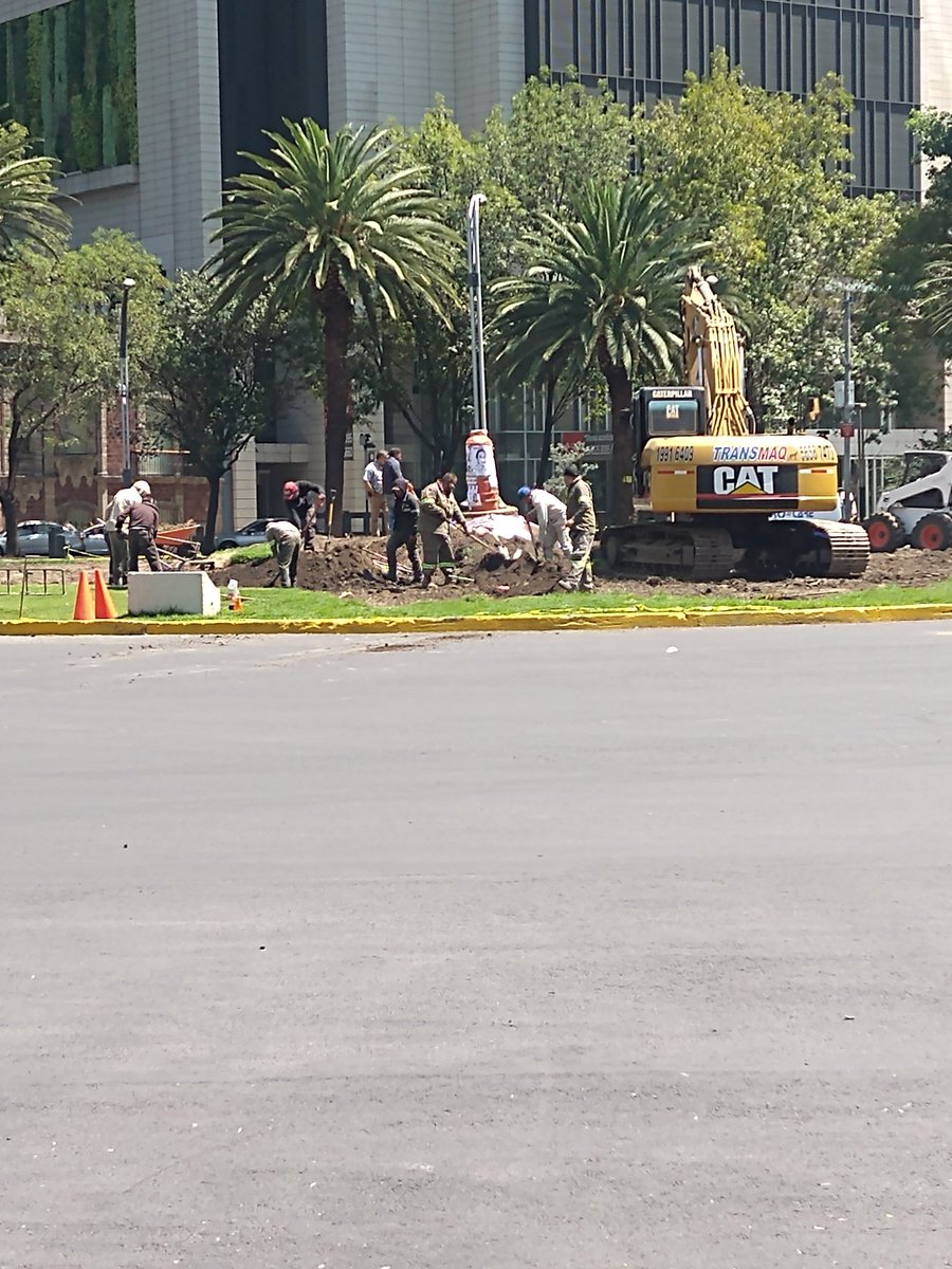 indioverdem's tweet photo. Aprovechando la marcha sobre Reforma ya quitaron "La Palma" esperamos el Ahuehuete!! https://t.co/8xxvXIWHmH