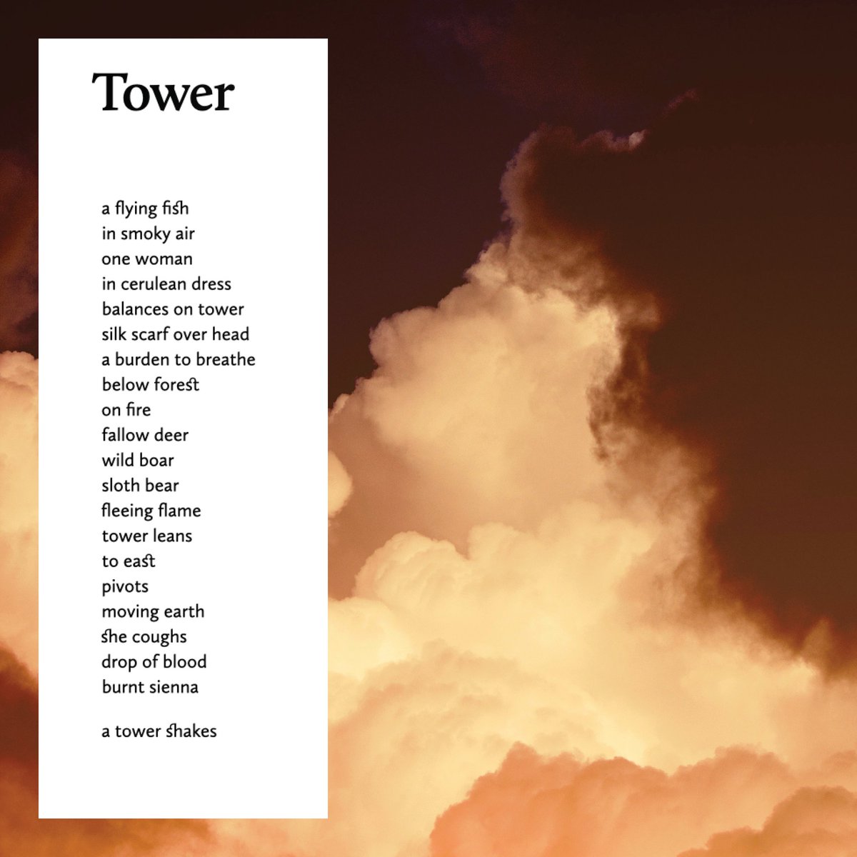 celebrate past issues of Forum magazine