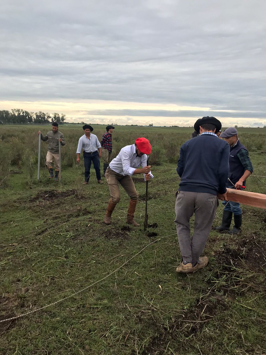 PlanAgro's tweet photo. @MarfrigConosur @terkouruguay @distribuidorasi @ecarriuy @cmolina411 @mlarranaganieto @paulinaaltieri Alineando y planificando medidas para las líneas, en el curso de alambrado en Valentín.
@MarfrigConosur #AFRV #PlanAgropecuario https://t.co/ODYsCiGuwJ