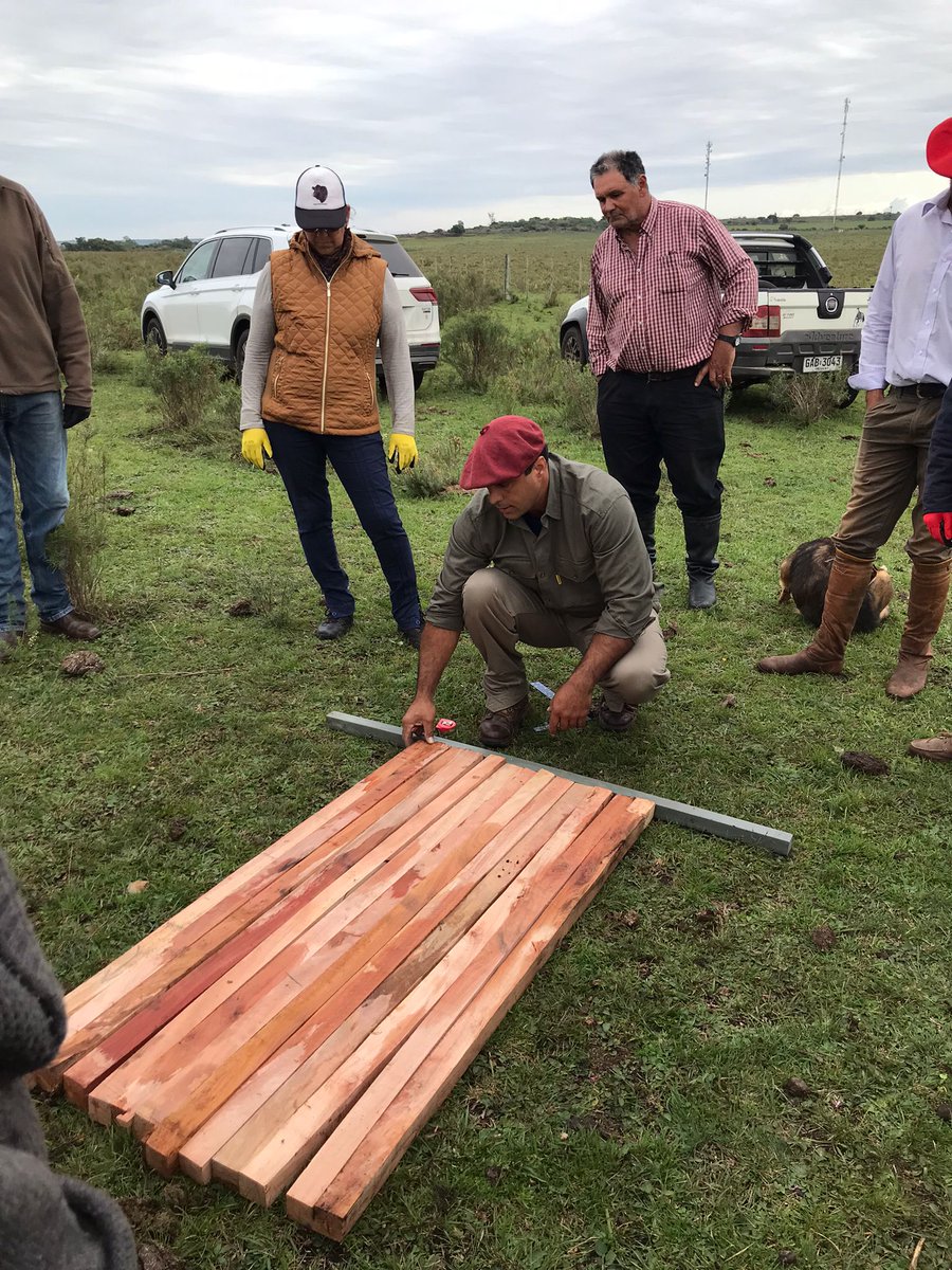 PlanAgro's tweet photo. @MarfrigConosur @terkouruguay @distribuidorasi @ecarriuy @cmolina411 @mlarranaganieto @paulinaaltieri Alineando y planificando medidas para las líneas, en el curso de alambrado en Valentín.
@MarfrigConosur #AFRV #PlanAgropecuario https://t.co/ODYsCiGuwJ