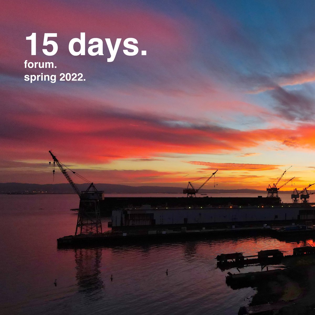 We're just 15 days away from the launch of Forum Magazine