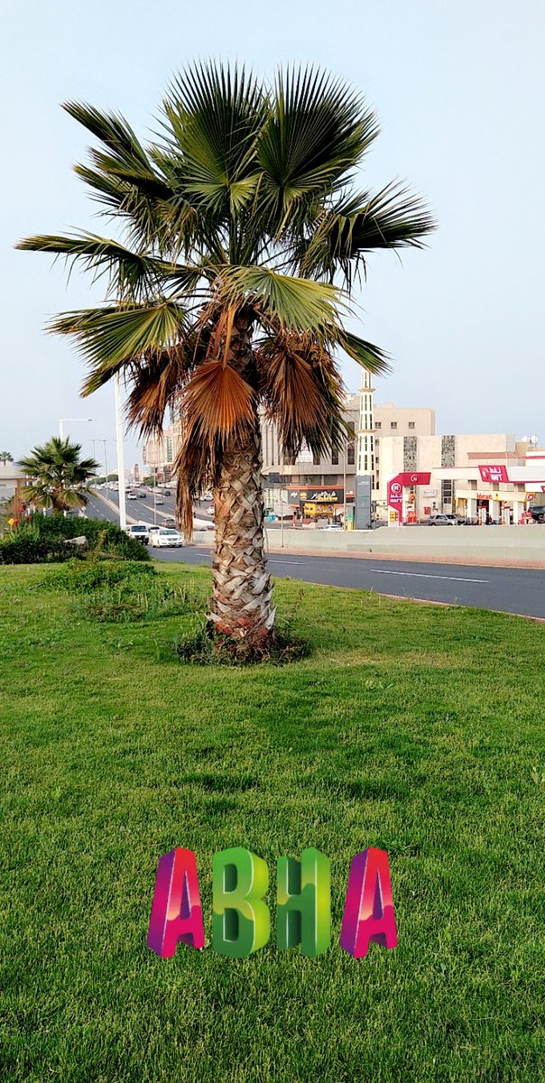 أضفني على Snapchat. اسم المستخدم: time.turnment snapchat.com/add/time.turnm…