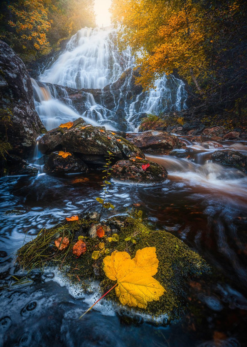 Gord Follett Photography tweet media