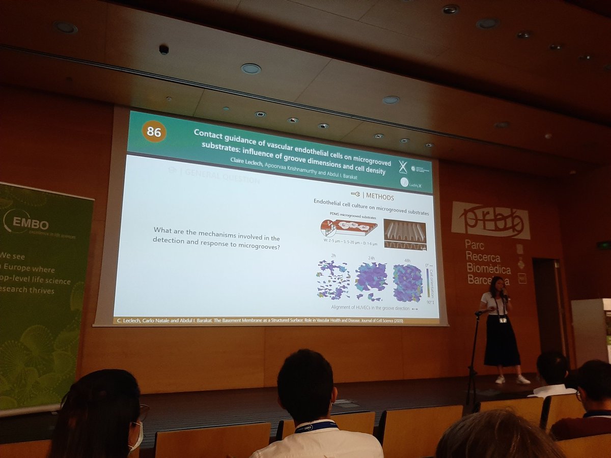 ClaRamonLozano's tweet photo. Do not miss @ClaireLeclech poster at the #EMBOBuildNetworks to know what are the mechanisms to detect microgrooves🤔🤓 https://t.co/DXzkiOLLtz
