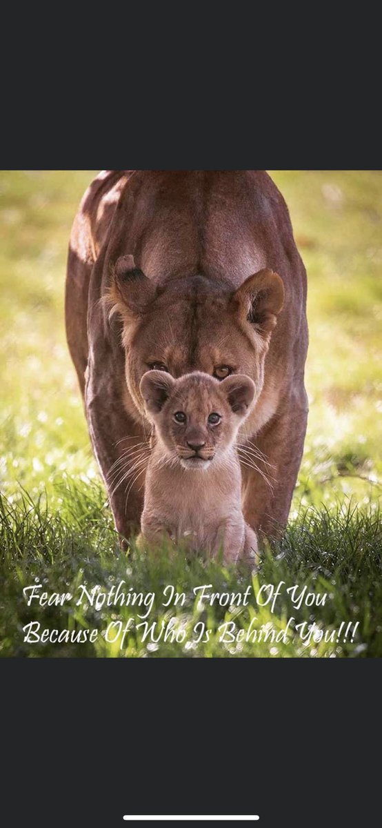 Seniors, you got this!