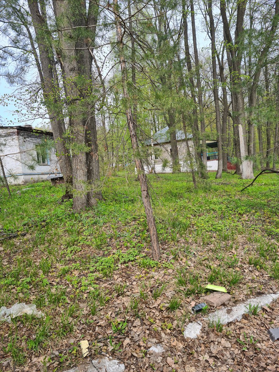 AndrySha tweet media