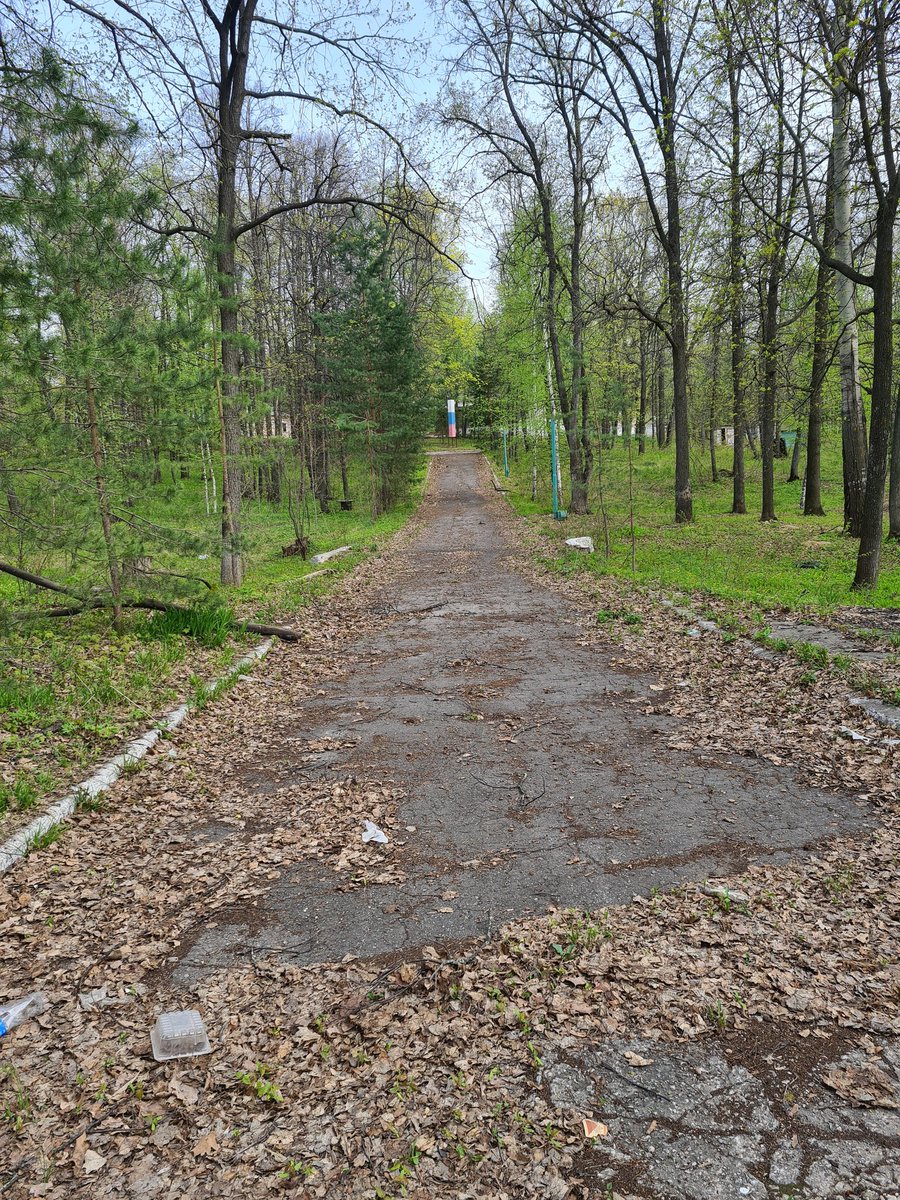 AndrySha tweet media