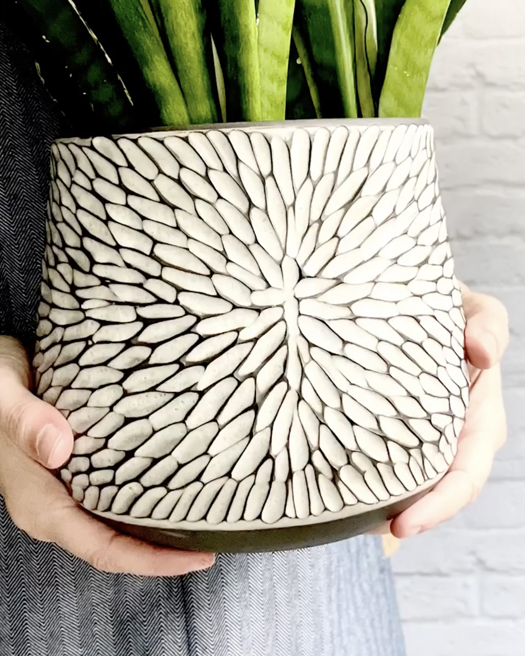 Domestika on Twitter: