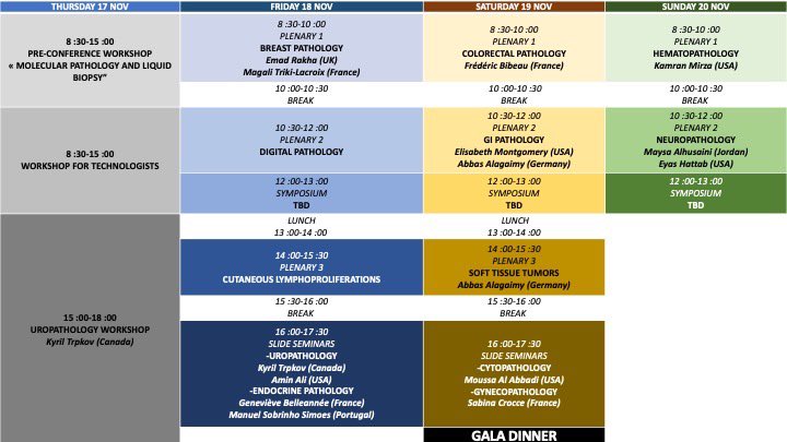 Exciting program of the Arab Divsion of the International Academy of Pathology, 17-20 November 2022! #arabdivisioniap #adiap #iap #pathology