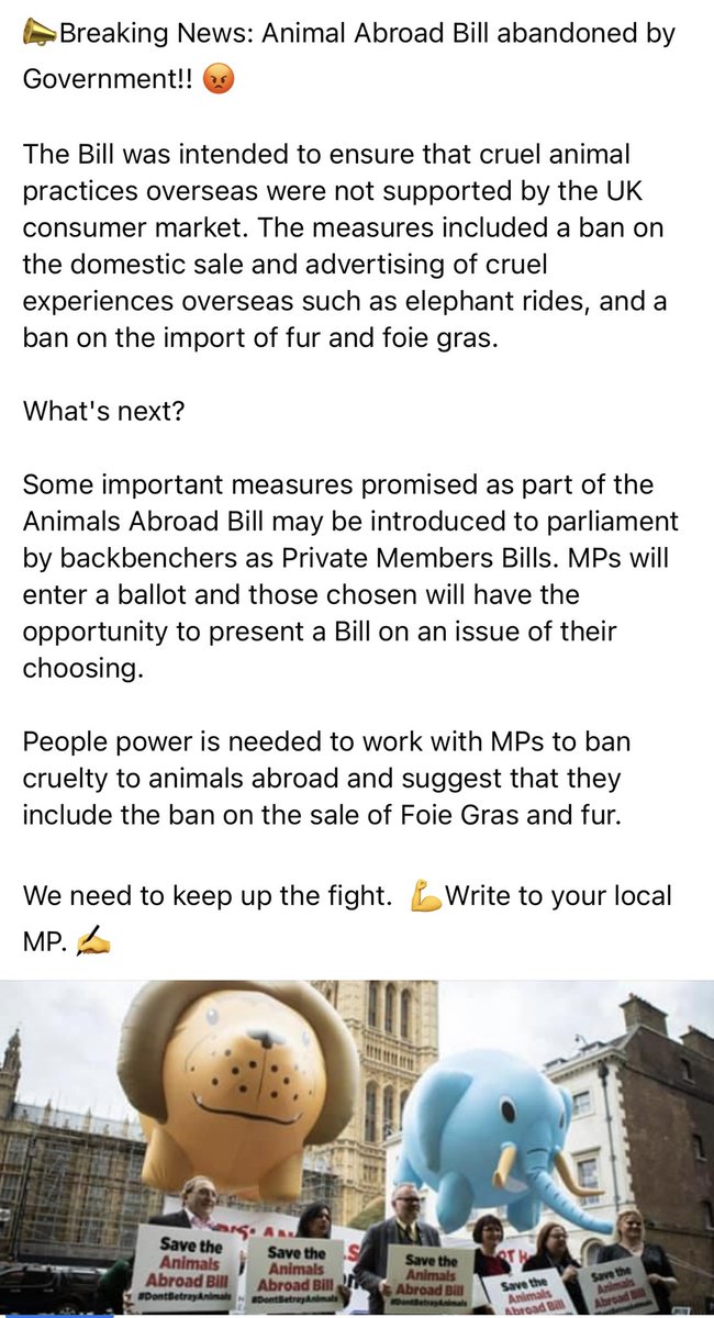 #UKGovernment turn their back on #AnimalWelfare
No mention of #AnimalsAbroadBill 
#FoieGrasImportsBan #FurImportsBan
The #Betrayal felt with the #Conservatives actions is off the scale.
#QueensSpeach #Animalsbetrayed 
#GetToriesOut 
SHAME ON YOU <a href="/No10Official/">No.10</a> <a href="/BorisJohnson/">Boris Johnson</a>