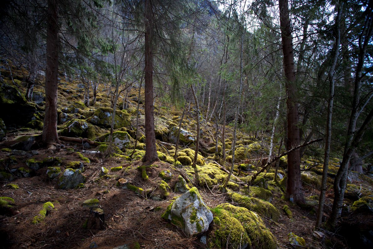 “Look deep into nature, and then you will understand everything better.” —Albert Einstein #NaturePhotography