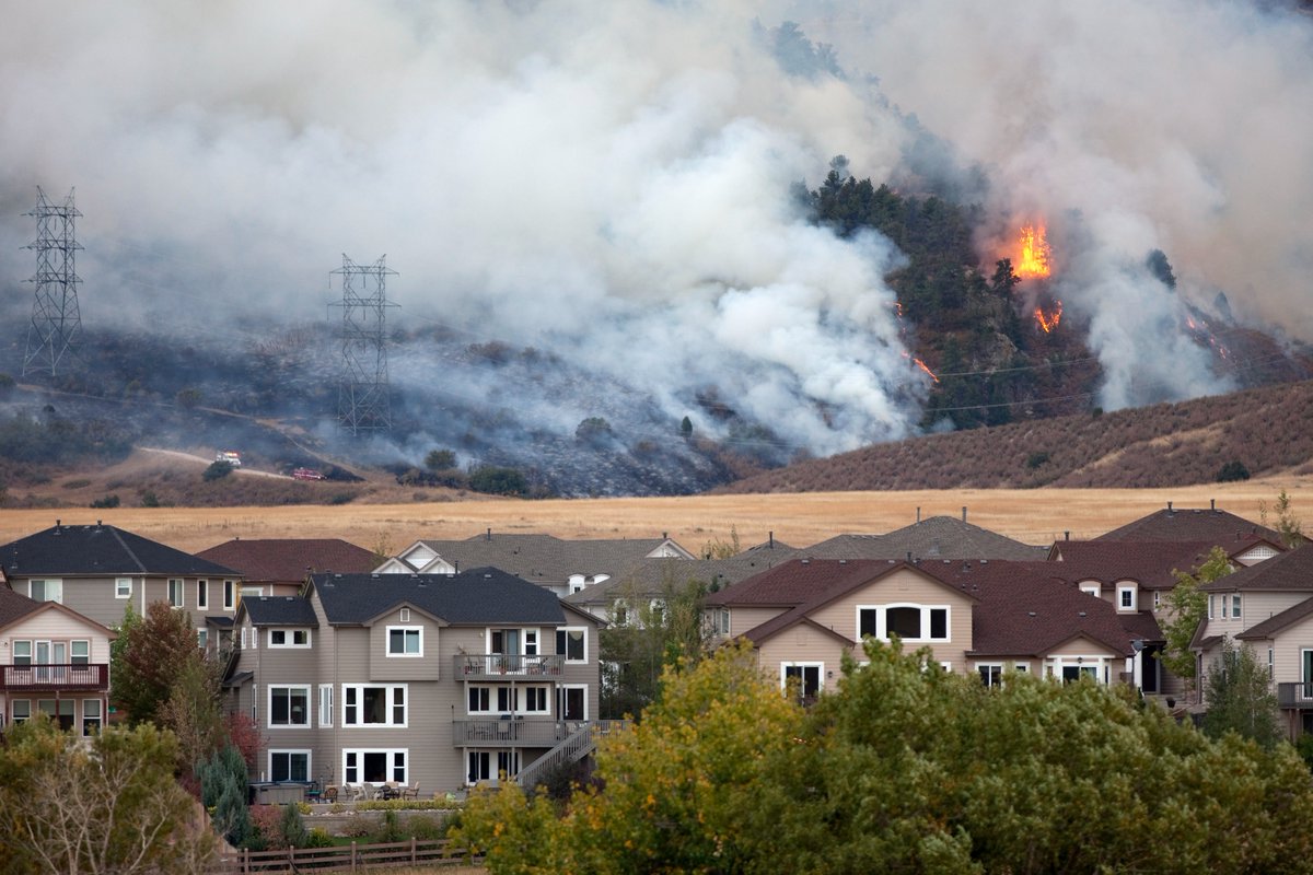 In the background, fires burn in the trees and are surrounded by smoke. In the foreground, there is a neighborhood of houses and apartments. 