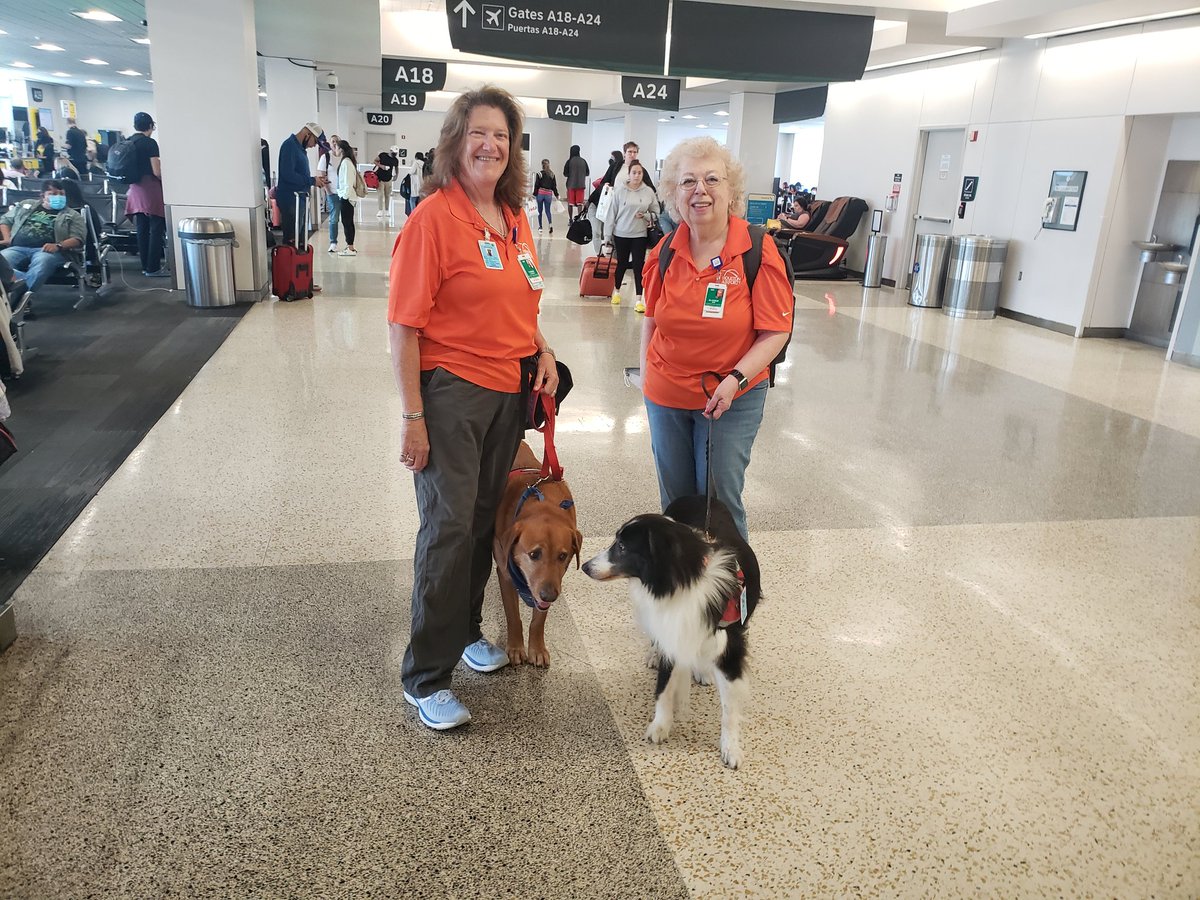 ellaghica's tweet photo. Happy Tuesday to all from Shotgun and Brandy @APTherapyDogs They are pawtroling #IAH until about 2 pm #makingadifference #Customerexperience #houstonairports #HoustonFriendly https://t.co/4bG6gU3aXN