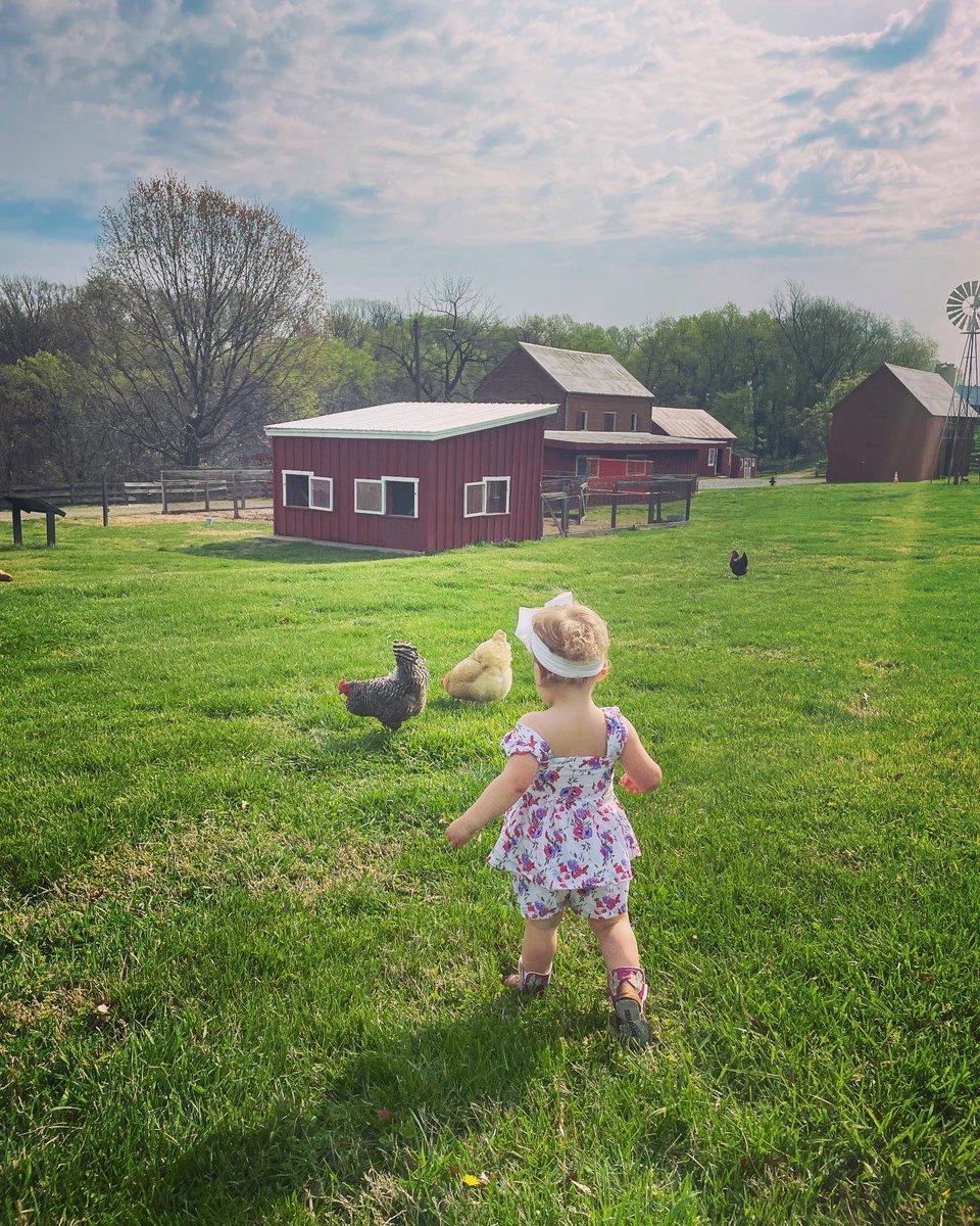 Cindy McCain tweet media