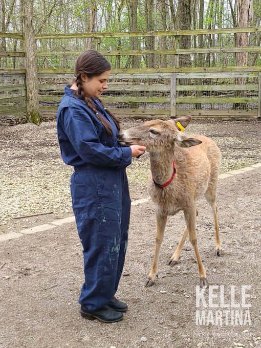 Here's me petting a deer. https://t.co/SHD4pk3GoD<a href="/tag/bdsm"class="tags"><span>#bdsm</span></a><a href="/tag/leatherfetish"class="tags"><span>#leatherfetish</span></a><a href="/tag/leathermistress"class="tags"><span>#leathermistress</span></a>