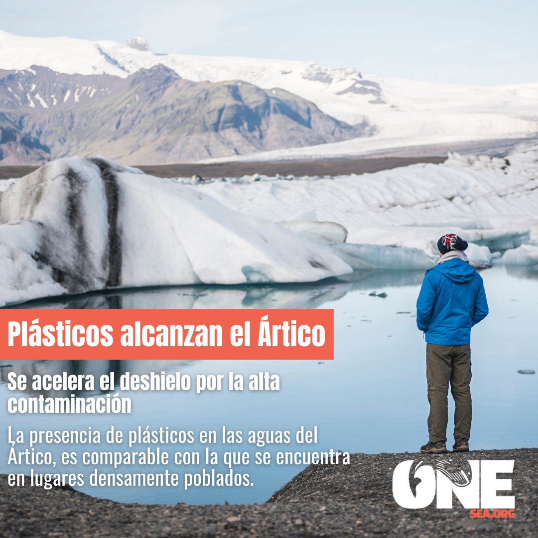 OneSeaOrg's tweet photo. La contaminación por plásticos es una de las mayores preocupaciones ambientales para nuestras sociedades. Recientes estudios señalan la presencia de plásticos en los ecosistemas marinos árticos, con proyecciones desalentadoras para su ecología.
https://t.co/UjPpr1hmb2 https://t.co/9MSCIh94uU