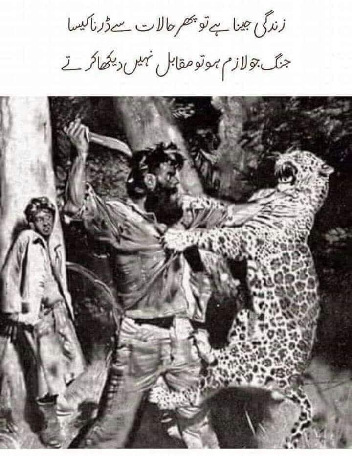 WasimTarar711's tweet photo. #امپورٹڈ_حکومت_نامنظور https://t.co/hfeQkqk26s