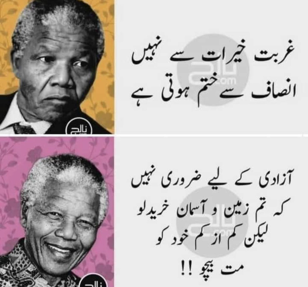 WasimTarar711's tweet photo. #امپورٹڈ_حکومت_نامنظور https://t.co/PqDEfK5bvE
