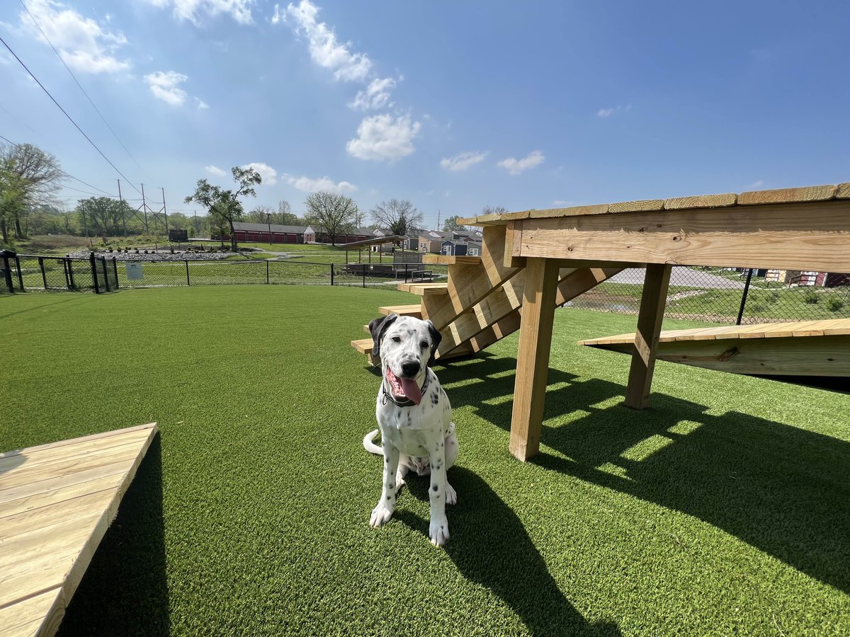 VCP_HQ's tweet image. VCP’s World War Veterans Dog Park is officially open! What a beautiful day for our four-legged friends to try out the new doggie playground in VCP’s green space. Huge shoutout to everyone who made this happen for our Veterans and their pets.
