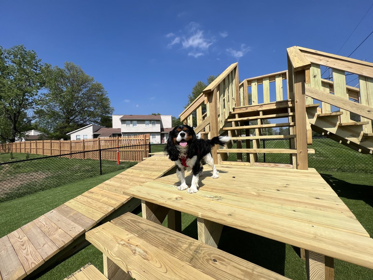 VCP_HQ's tweet image. VCP’s World War Veterans Dog Park is officially open! What a beautiful day for our four-legged friends to try out the new doggie playground in VCP’s green space. Huge shoutout to everyone who made this happen for our Veterans and their pets.