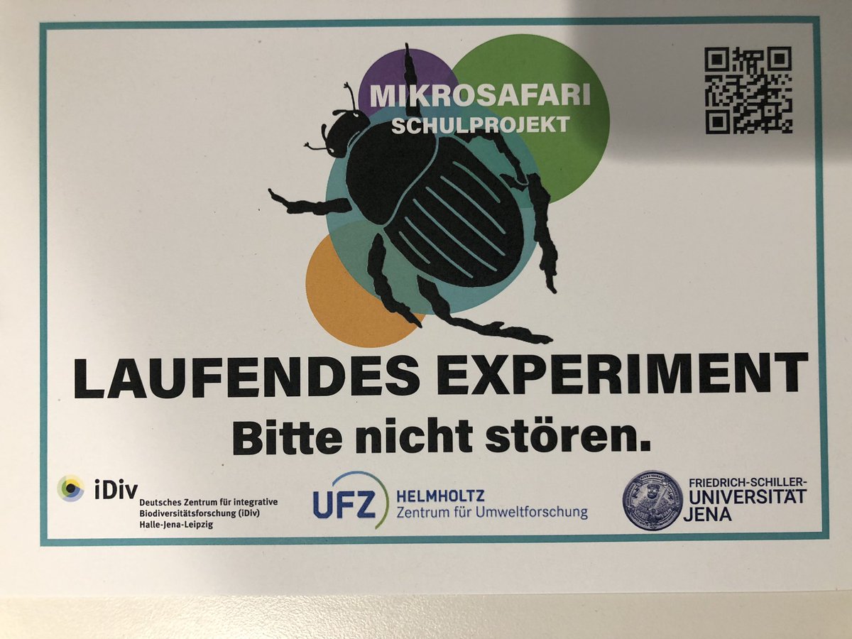 AlettaBonn's tweet image. Packing party - team effort getting ready for fieldwork! 🐜🐞🪲
Mikrosafari.de #CitizenScience #insect project with Julie @KochSheard @UFZ_de @idiv and schools &amp;amp; families in #Leipzig , #Halle und #Berlin