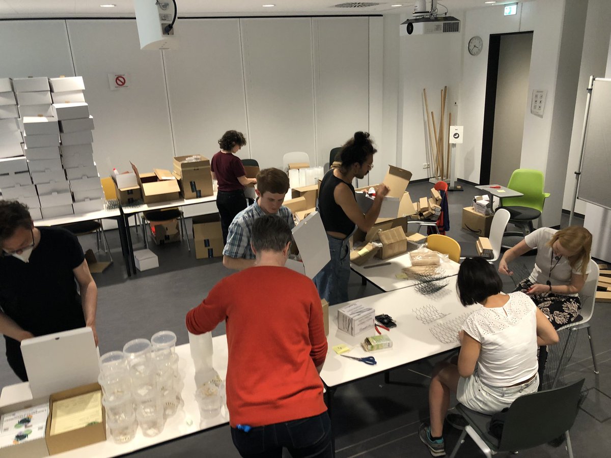 AlettaBonn's tweet image. Packing party - team effort getting ready for fieldwork! 🐜🐞🪲
Mikrosafari.de #CitizenScience #insect project with Julie @KochSheard @UFZ_de @idiv and schools &amp;amp; families in #Leipzig , #Halle und #Berlin